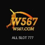 W567 Game